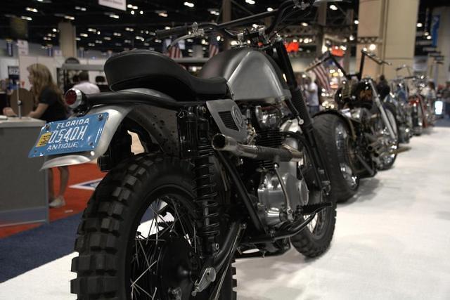 dsc 4800 1