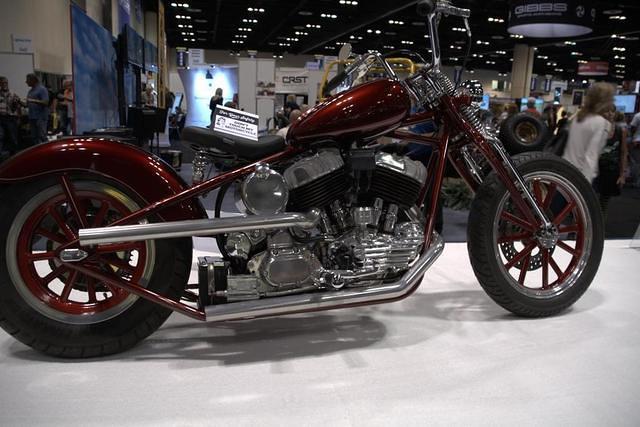 dsc 4821 1