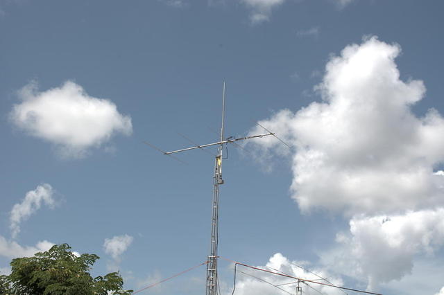 DSC 2446