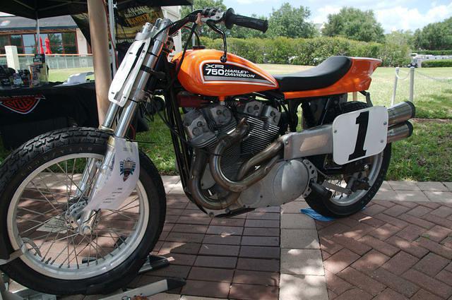DSC 4421