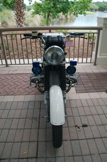 DSC 4477