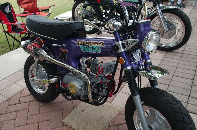 DSC 4591