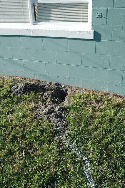 DSC 5321