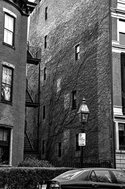 DSC 5949 50 51 52 53BW HighContrast Optimizer