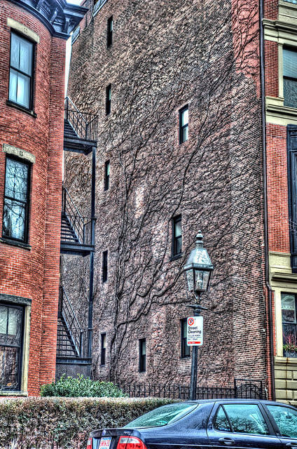 DSC 5949 50 51 52 53Painterly4 hlc