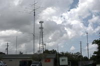 DSC 2445