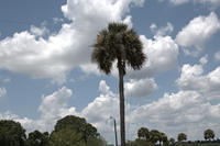 DSC 2509