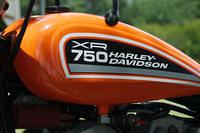 DSC 4419