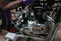 DSC 4623