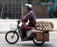 comfy ride